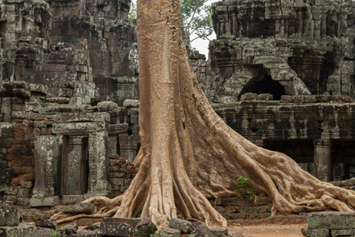 Siem Reap photo