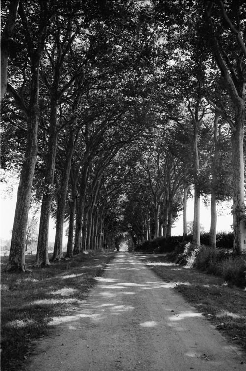 auvergne