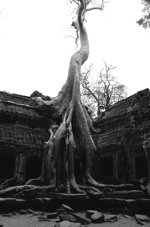 cambodia