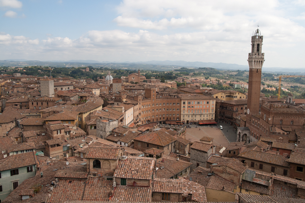 siena
