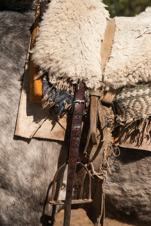 san antonio de areco