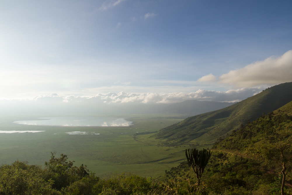 ngorongoro