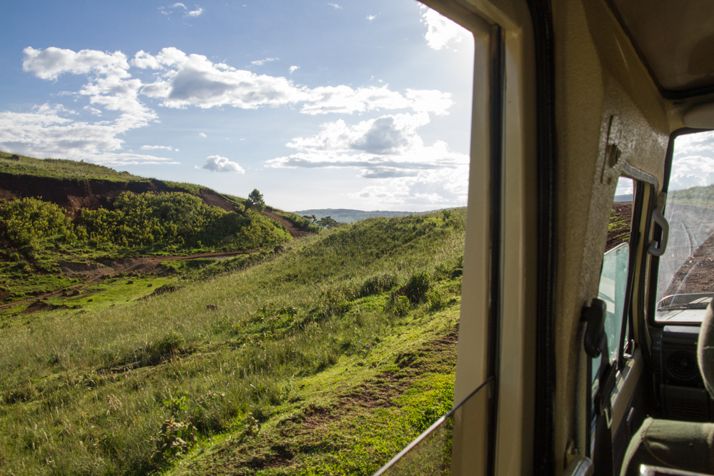 ngorongoro